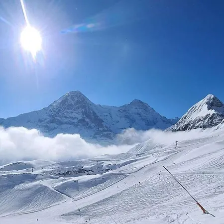 I In Bodenwald * Grindelwald