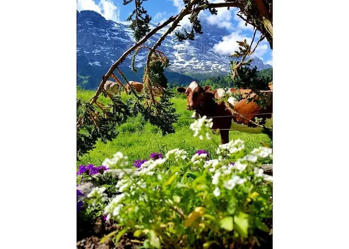 Дом отдыха I In Bodenwald *