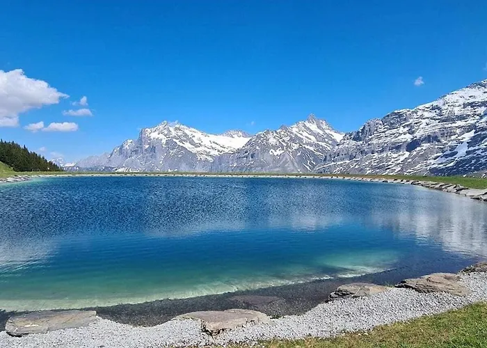 I In Bodenwald Dom wakacyjny Grindelwald
