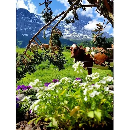 Hébergement de vacances I In Bodenwald *