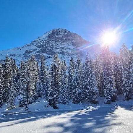 I In Bodenwald * Grindelwald